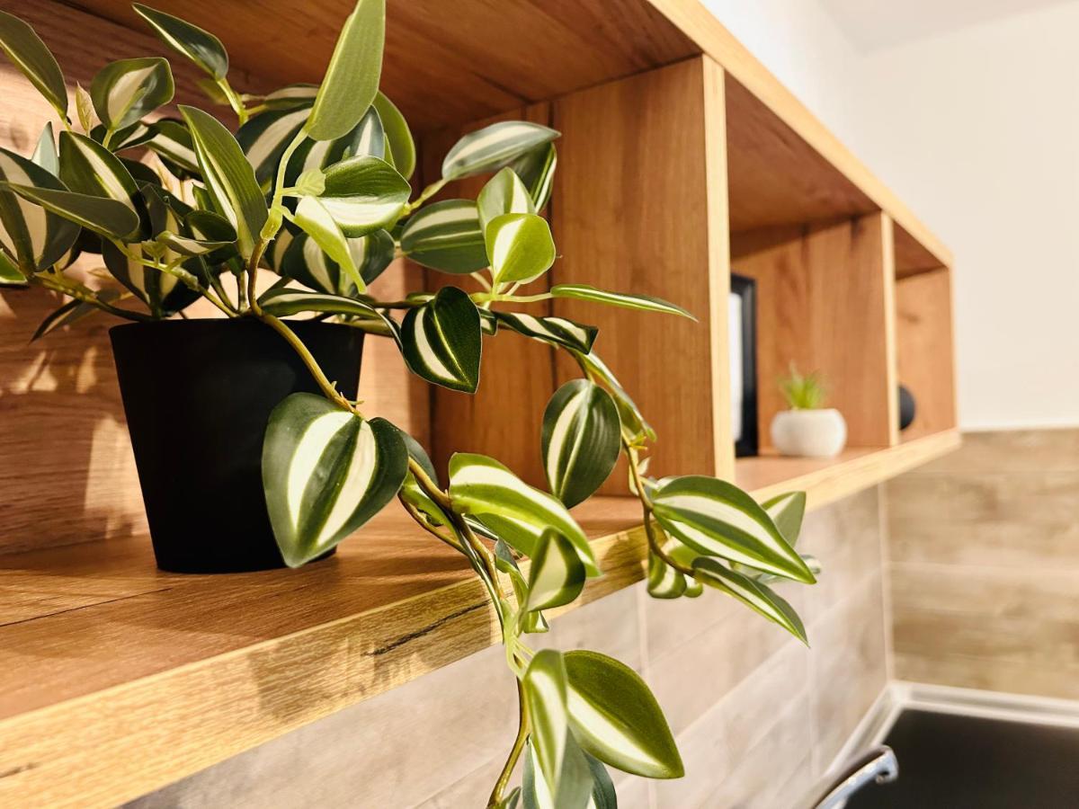 Appartement Ithaca Σπίτι Με Αυτόνομη Είσοδο à Thessalonique Extérieur photo